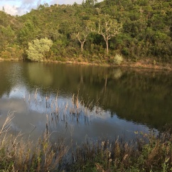 lake in nearby valley